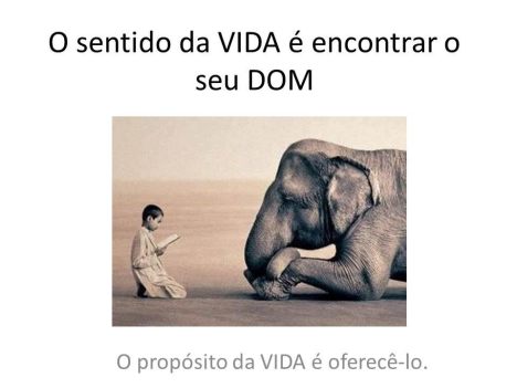 seu dom