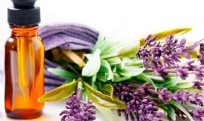 oleo-essencial-lavanda